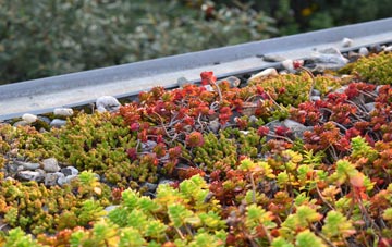 the cost of Oxenpill green roof installation